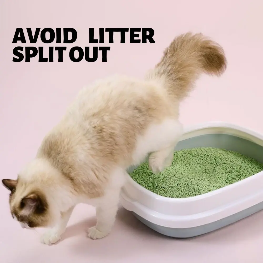 Cat toilet Box 猫砂盆