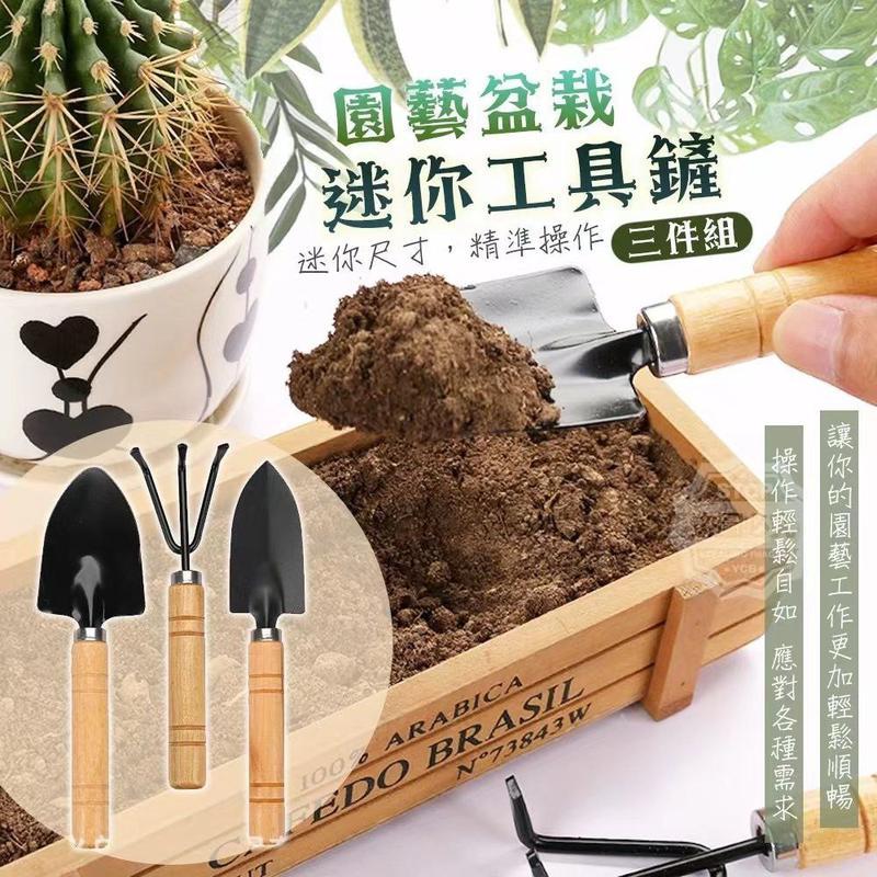 Mini Gardening Tool Set, 3-Piece Kit (Shovel, Rake, Spade) 园艺盆栽迷你工具铲三件组