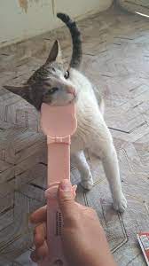 Cats Feeding Spoon 喂猫条汤匙