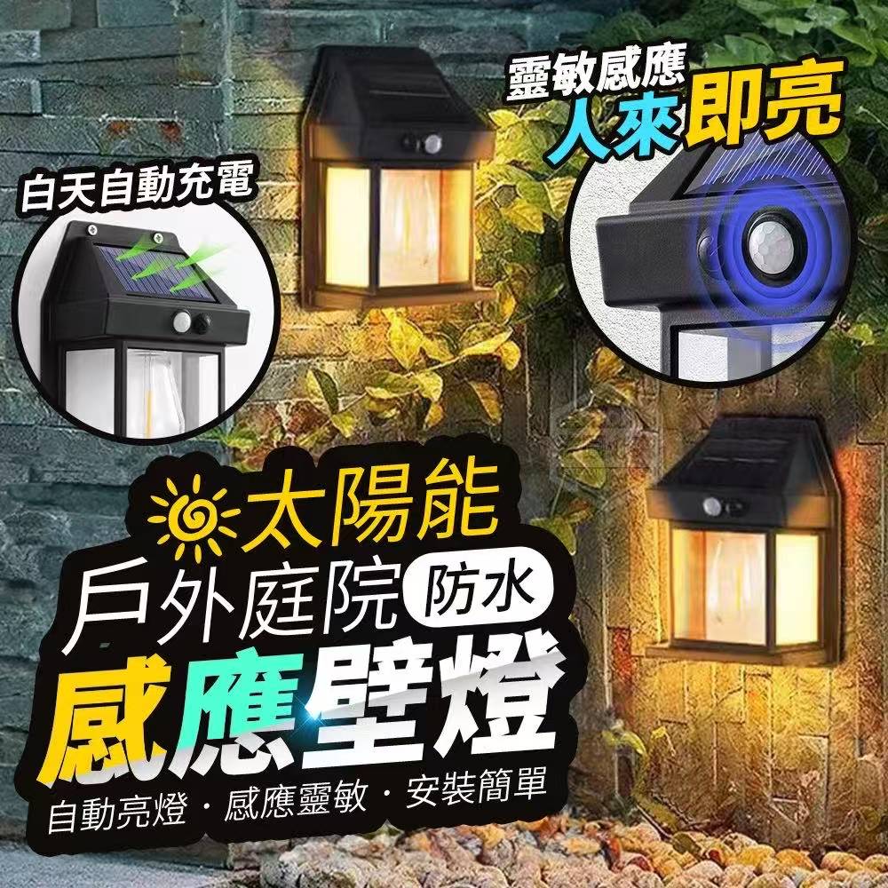 Solar Outdoor Garden Waterproof Sensor Wall Light 太阳能户外庭院防水感应壁灯 (Small小）