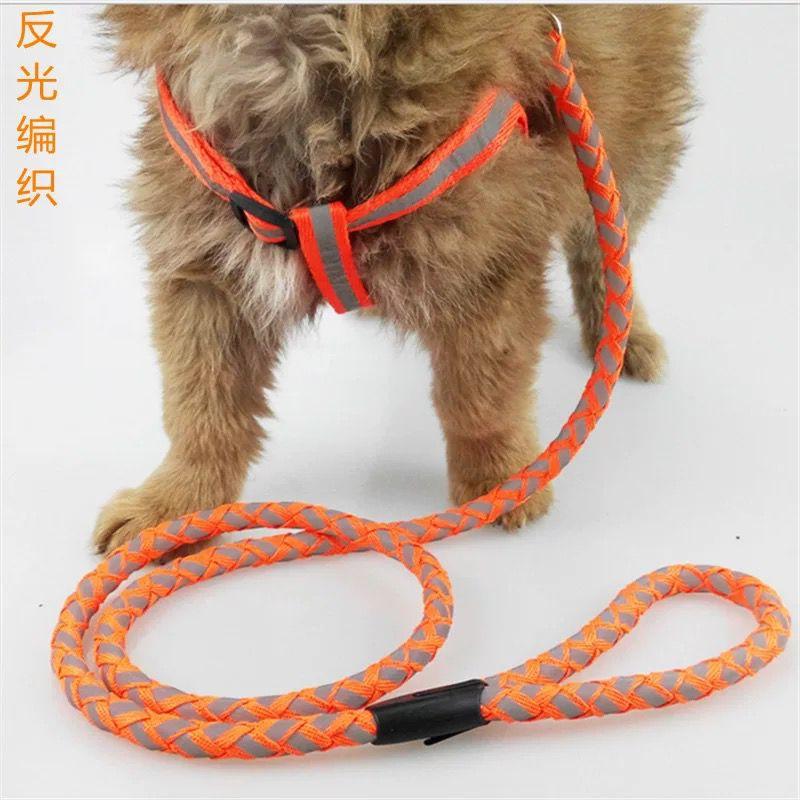 夜光狗绳	 Luminous Dog Leash